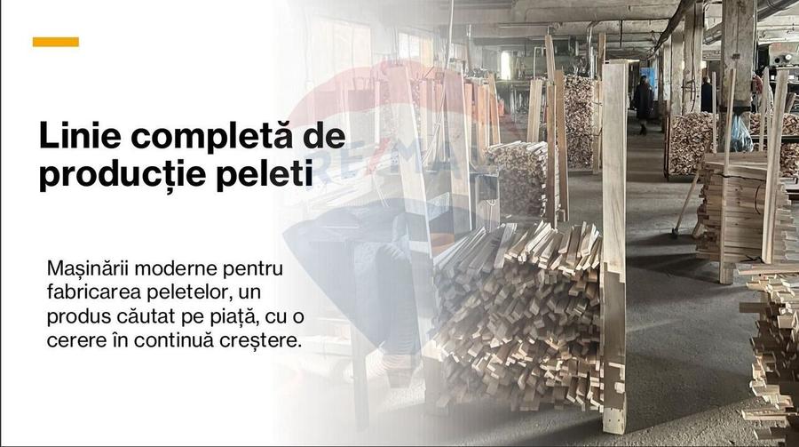 Spațiu industrial, de 7,756 mp, în Cerăt