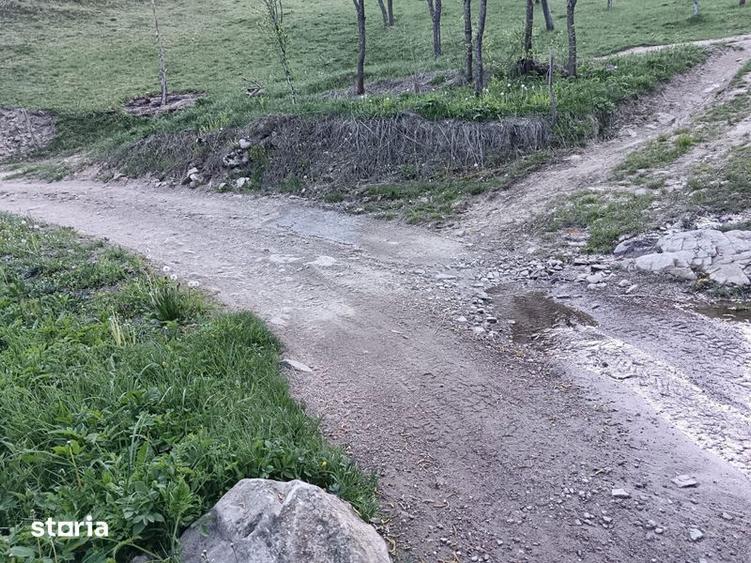Teren Poiana Lunga,Cornereva - 8