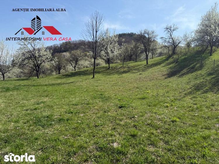 Teren de 13698 mp, în Vințu de Jos