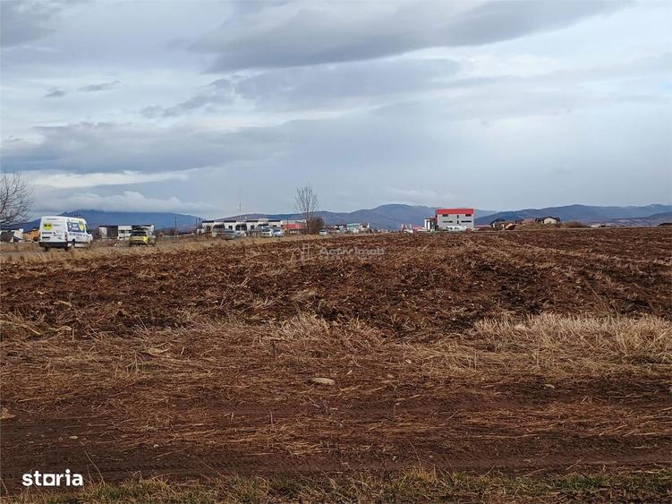 Teren de 9000 mp, în Est