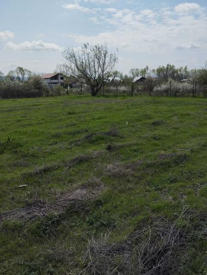 Teren de 5000 mp, în Șimian