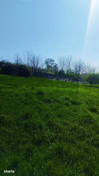 Teren de 10000 mp, în Balotești