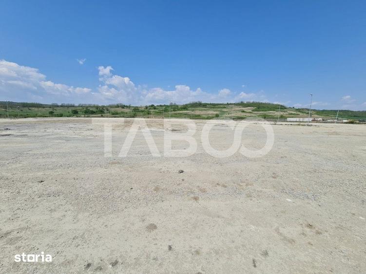 Teren de 40000 mp, în Teiu