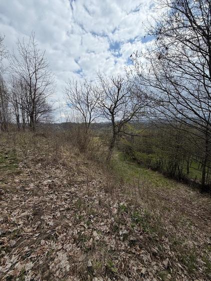 Teren de 10176 mp, în Slătioara