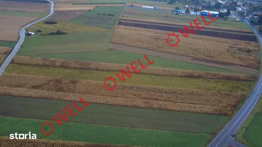 Teren extravilan de vanzare in Covasna! - 10
