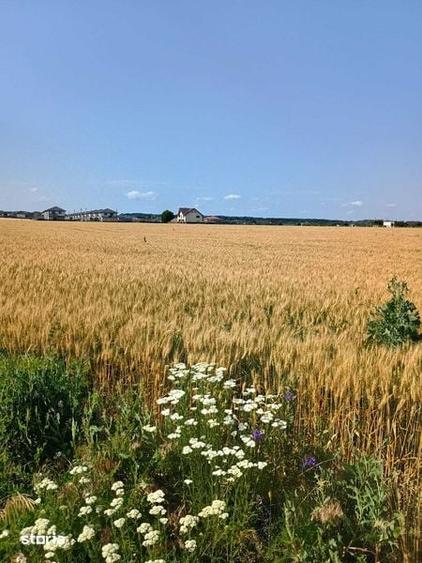 Proprietar!Vand 5000 mp teren extravilan in Valea Ursului - 3
