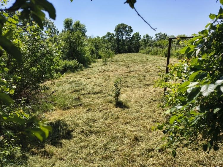 Casă individuală cu 3 camere cu Teren 3700 Mp în Ragu