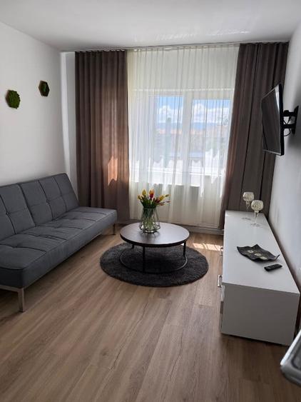 Vand apartament in Sibiu (Milea) - 6
