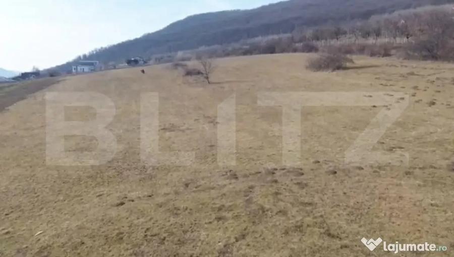 Teren în Viișoara