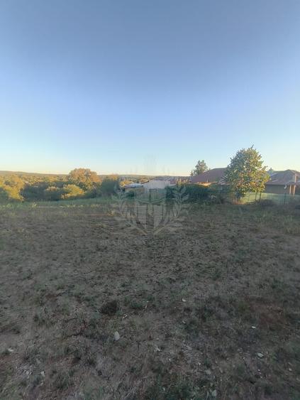 Teren Construcții intravilan de 3017 mp, în Plopu