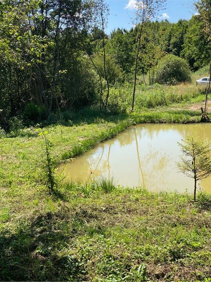 Teren de 2000 mp, în Vlădeni