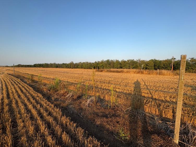 Teren agricol extravilan de 500 mp, în Costinești