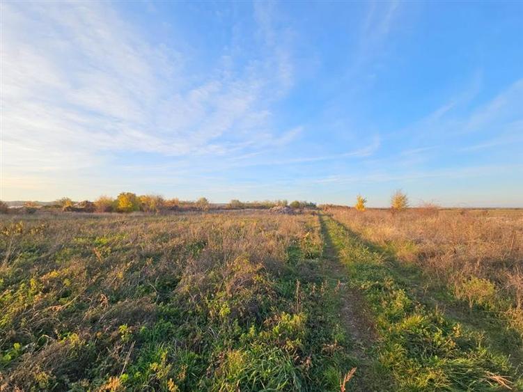 Teren agricol extravilan de 10000 mp, în 9 Mai