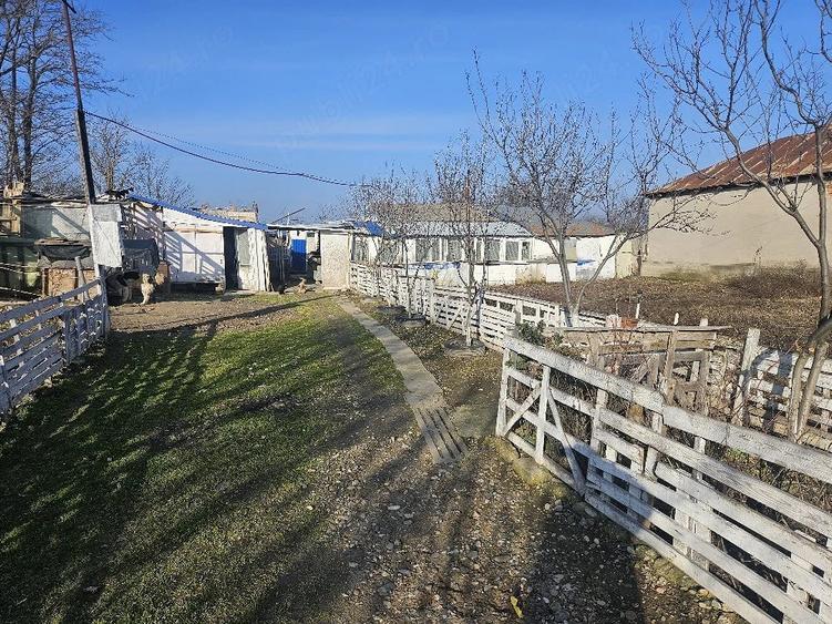 Casă cu Teren 2700 Mp în Baldovinești