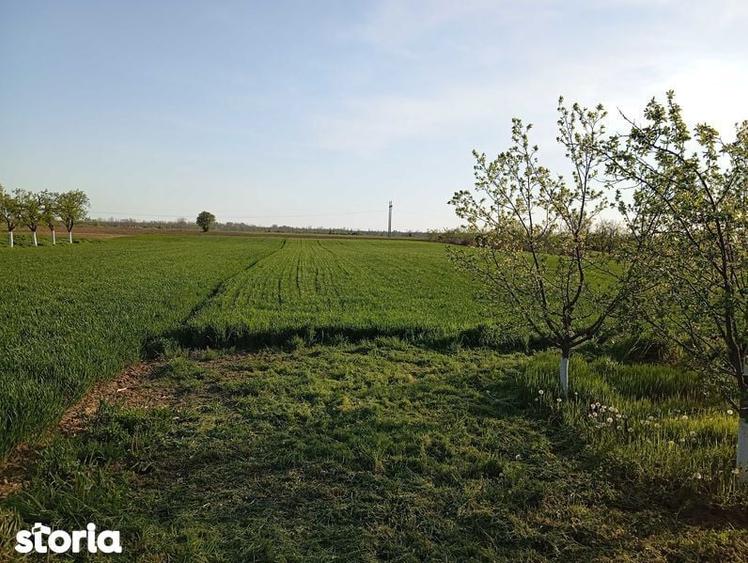 Casă cu 4 camere cu Teren 109 Mp în Leordeni