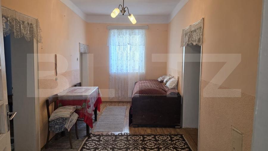 Casă individuală cu 4 camere cu Teren 2658 Mp în Sătmărel