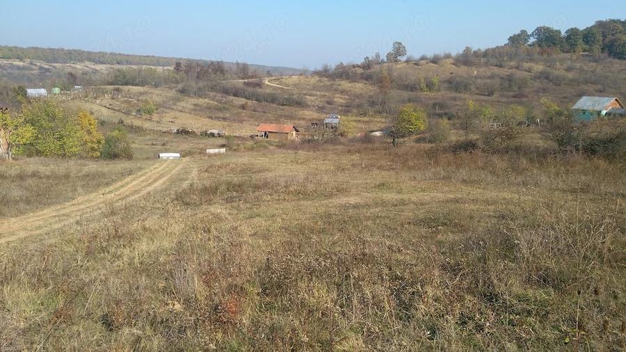 Teren de 4900 mp, în Leamna de Sus