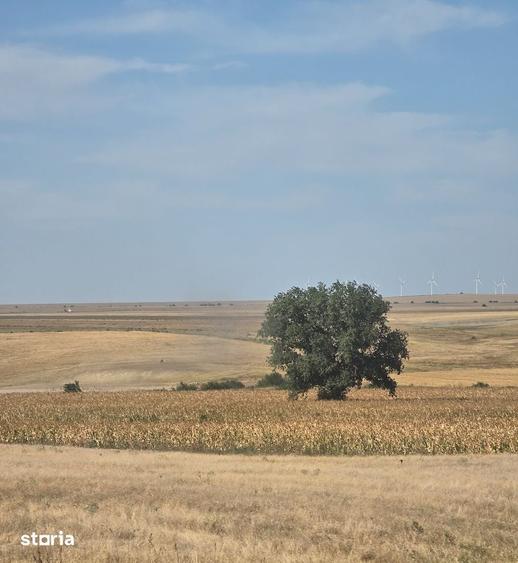 Teren de 590000 mp, în Saraiu