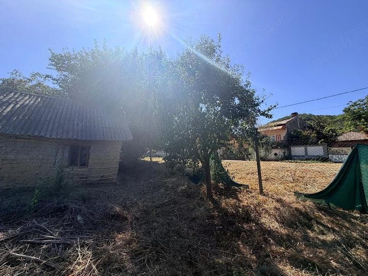 Teren de 264 mp, în Central
