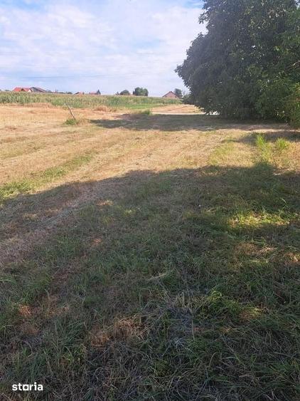 Teren de 600 mp, în Mărtinești