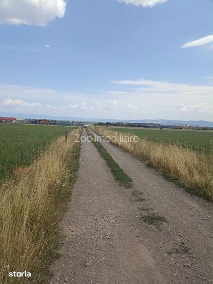 De vanzare teren extravilane in Sfantu Gheorghe