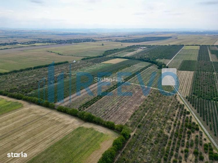 Teren 9 ha, Itesti, Bacau