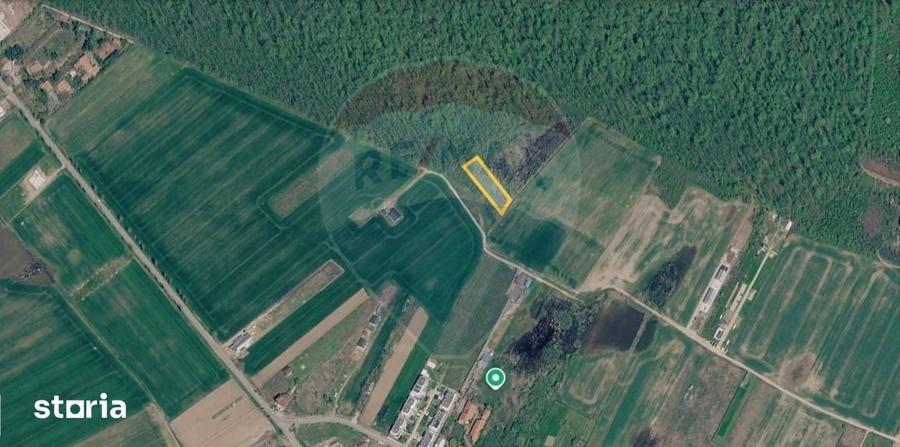 Teren de 1501 mp, în Ciolpani