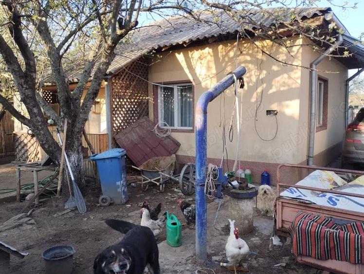 Casă cu Teren 1000 Mp în Central