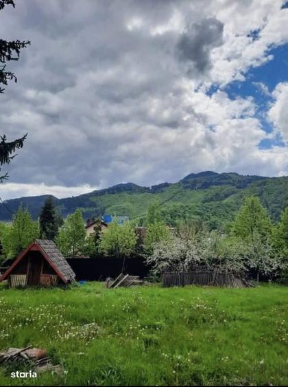 Teren intravilan 800 mp Darste Brasov - 1