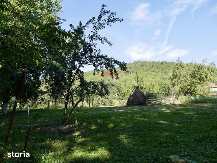 Casă cu 2 camere cu Teren 3003 Mp în Vințu de Jos