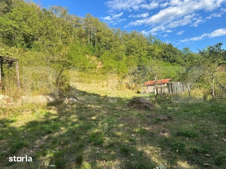 Gospodarie cu 10.900 mp teren, 3 constructii, Cainelu de Sus