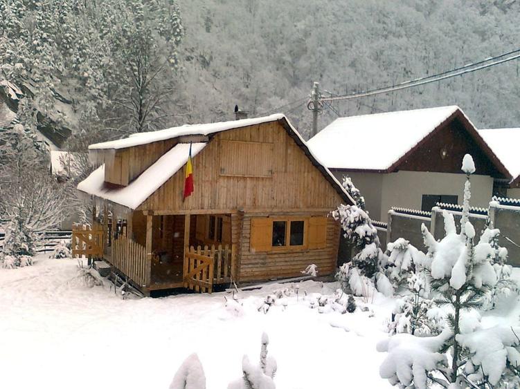 Casă în Clopotiva