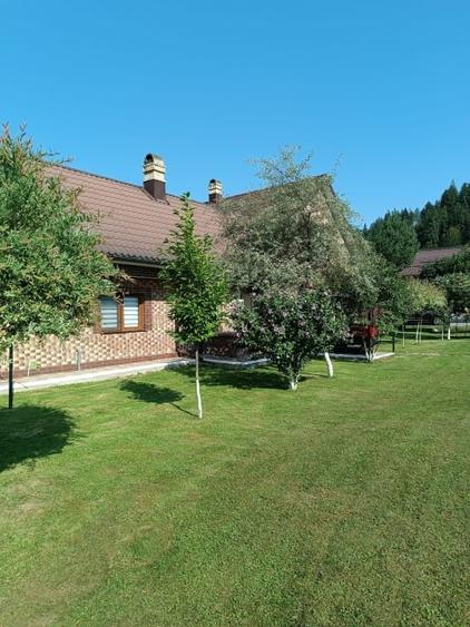 Casa individuala, teren 5200mp, oportunitate de investitie, Brodina - 2