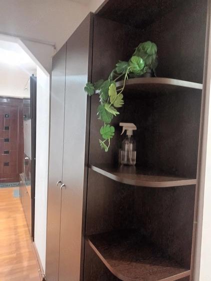 Apartament cu 2 camere decomandat în Brazda lui Novac
