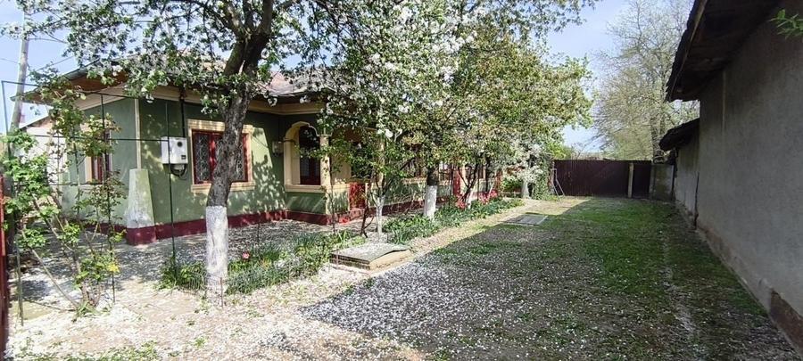 Casă cu 4 camere în Vedea