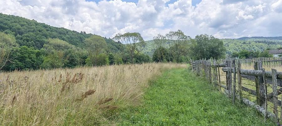 Teren de 4950 mp, în Vama Buzăului