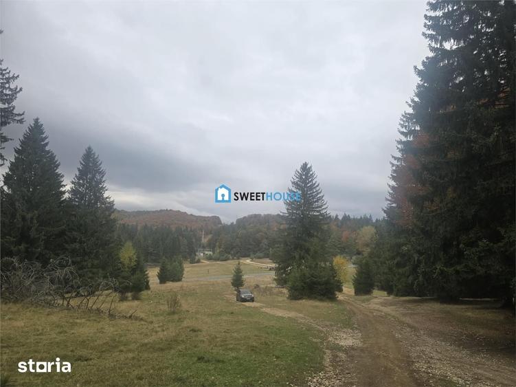 Teren de 1000 mp, în Central
