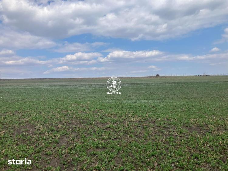 Teren de 2580 mp, în Movileni