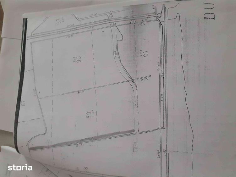 Teren de 50000 mp, în Găujani