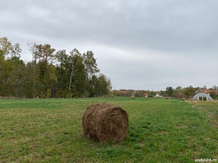 Teren de 4990 mp, în Duboz