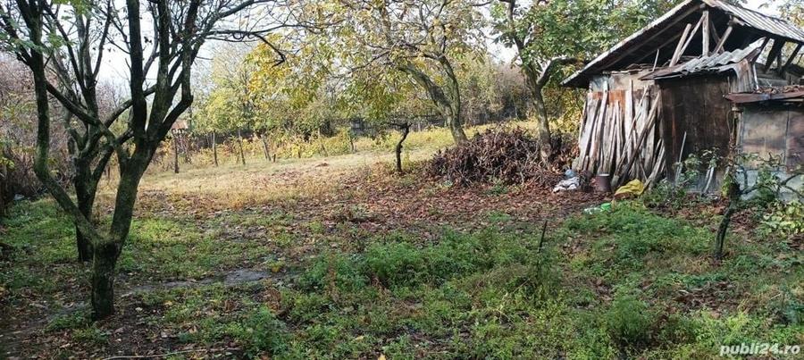 Casă cu 3 camere cu Teren 2493 Mp în Pădina