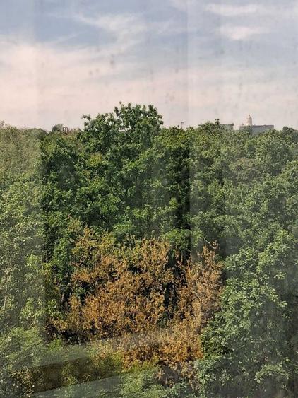 Apartament de Inchiriat, Tineretului, Bucuresti, Pridvorului - 7