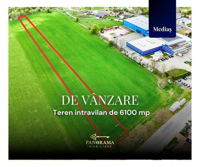 Teren agricol intravilan de 6100 mp, în Nord-Vest