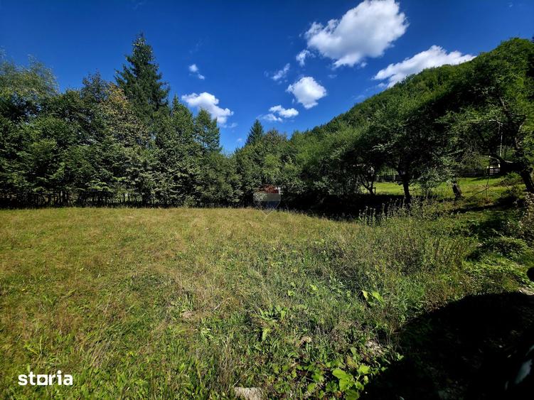Teren de 1113 mp, în Tarcău