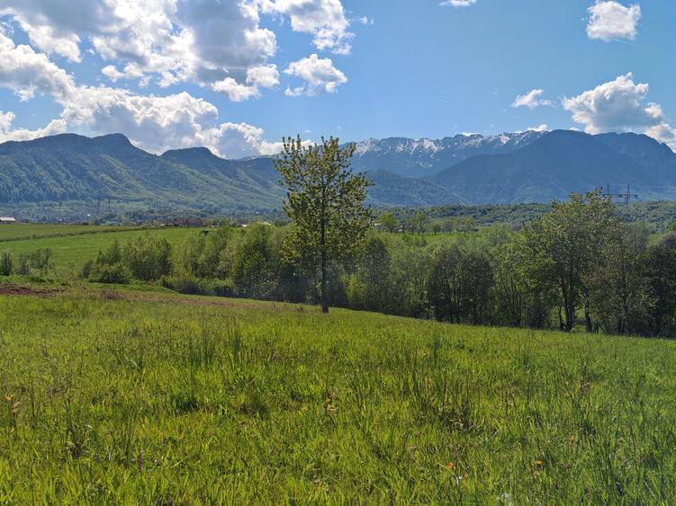 Teren Construcții intravilan de 5783 mp, în Bran