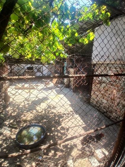Casă cu 4 camere în Plopi