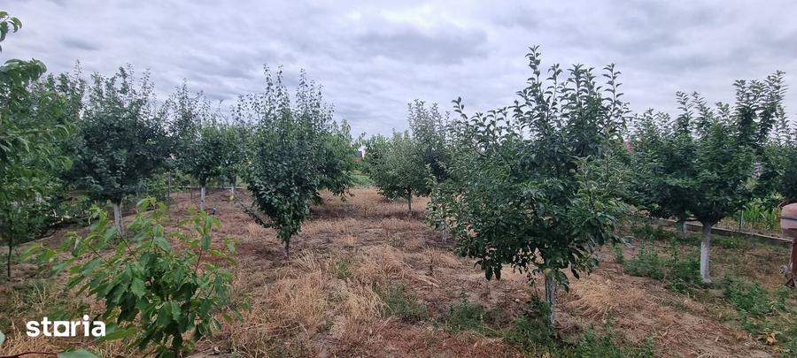 Casă cu 5 camere cu Teren 1000 Mp în Răchiți