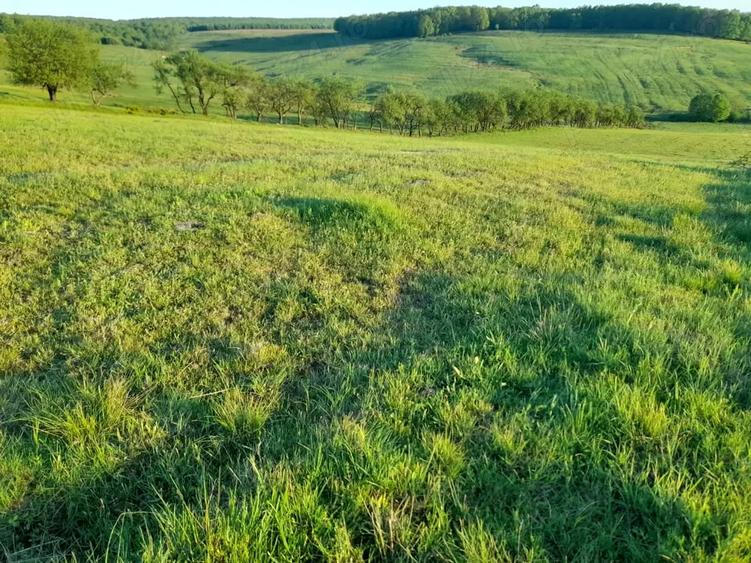 Teren de 9400 mp, în Remetea Chioarului