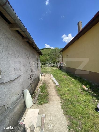 Casa de vanzare, strada principala, Viile Tecii