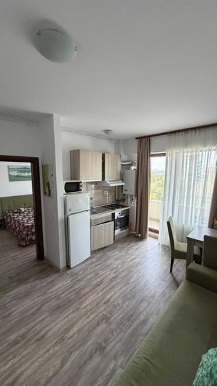 Apartament cu 2 camere decomandat în Agigea